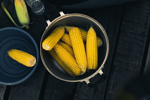 ligtorne, inde, gryde, plante, mad, majs, grøntsag, Terengganu, tasik kenyir, kuala berang, gul, levende, skål, fremstille, korn, frugt, banan, måltid, fad, bøf, porre, grill, mad og drikke, friskhed, sund kost, sukkermajs, velvære, majs på kolber, høj vinkel visning, stilleben, bord, ingen mennesker, indendørs, tæt på, dag, beholder, rå fødevarer, 5K, CC0, offentligt domæne, royaltyfrie
