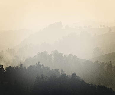 Munte, inconjurat, copaci, ceaţă, aburi, vreme, natură, în aer liber, cețos, deal, pădure, copac, peisaj, gradient, strat, ceață, pastel, a închide, ploaie, primăvară, sezon, plantă, scenice - natura, liniște, frumusețe în natură, o scenă liniștită, mediu inconjurator, nici o persoana, dimineaţă, creştere, zi, neclar, cer, 5K, CC0, domeniu public, fără drepturi de autor