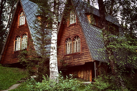 Rússia, artybash, eden complex, fons de pantalla, arquitectura, estructura construïda, exterior de l'edifici, edifici, arbre, planta, casa, cap gent, dia, finestra, naturalesa, creixement, vell, a l'aire lliure, barri residencial, abandonat, vista d’angle baix, tronc de l'arbre, tronc, material de fusta, casa de camp, 4K, CC0, domini públic, lliure de regalies