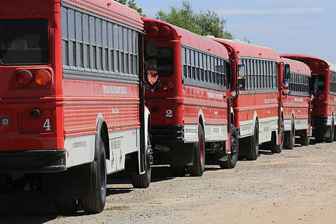 rot, Busse, Transportmittel, Transport, Landfahrzeug, öffentliche Verkehrsmittel, Tag, Natur, Sonnenlicht, stationär, Zug, Himmel, Zug - Fahrzeug, Schienenverkehr, Land, draußen, LKW, keine Leute, Metall, Reise, Bus, 5K, CC0, gemeinfrei, lizenzfrei