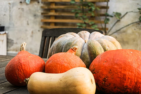 carabasses, Carabasseta, taula, produir, planta, flora, vegetals, menjar, carbassa, França, paris, jar, ceràmica, planta en test, gerro, fruita, préssec, vinya, menjar i beguda, alimentació saludable, frescor, benestar, cap gent, natura morta, dia, centrar-se en primer pla, primer pla, color taronja, mercat, a l'aire lliure, grup d'objectes, aliments crus, material de fusta, madur, 5K, CC0, domini públic, lliure de regalies