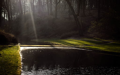 tree, lake, spring, water, plant, forest, land, scenics - nature, beauty in nature, tranquility, no people, nature, tranquil scene, fog, non-urban scene, day, outdoors, growth, idyllic, remote, woodland, flowing water, 4K, CC0, public domain, royalty free