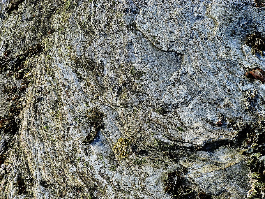 textura, strata, Skála, kámen, Pozadí, celý rám, texturou, nikdo, den, Příroda, hrubý, venku, detail, rock - objekt, pevný, rostlina, růst, kmen stromu, vzor, strom, kufr, Skalní formace, vysoký úhel pohledu, kůra, lišejník, 2K