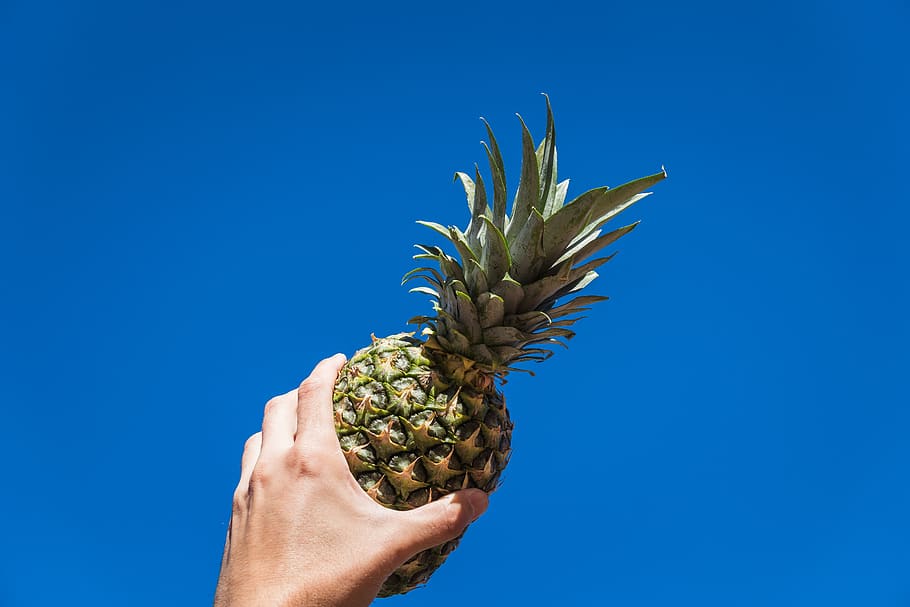 pinya, pi, poma, fruita, afruitat, menjar, foodie, naturalesa, superior, vista, cel, blau, verd, mà, agafar, fruta, rico, mano, tija, mà humana, part del cos humà, fruita tropical, menjar i beguda, celebració, alimentació saludable, una persona, frescor, benestar, còpia espai, fons de colors, tir de l'estudi, creixement, fons blau, a l'aire lliure, dit, 5K