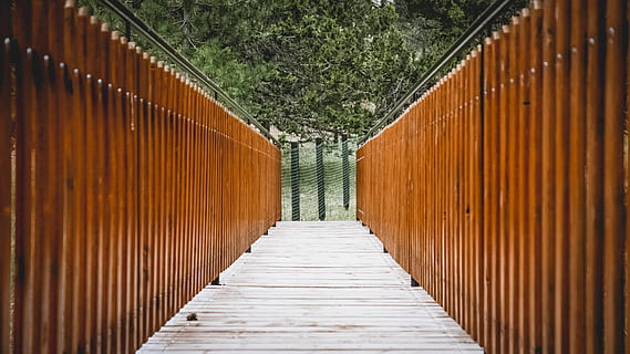 pont, bosc, arbre, arbres, naturalesa, marró, verd, centre, mig, a l'aire lliure, viatge, estret, caminar, pi, arquitectura, estructura construïda, el camí a seguir, direcció, dia, cap gent, material de fusta, sendera, patró, planta, perspectiva decreixent, buit, metall, passarel·la, seguretat, 4K, CC0, domini públic, lliure de regalies