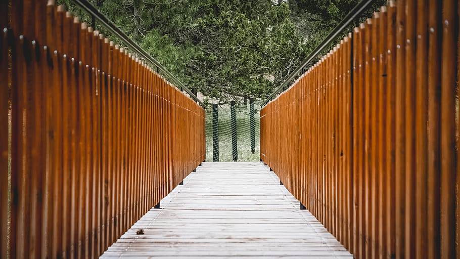pont, bosc, arbre, arbres, naturalesa, marró, verd, centre, mig, a l'aire lliure, viatge, estret, caminar, pi, arquitectura, estructura construïda, el camí a seguir, direcció, dia, cap gent, material de fusta, sendera, patró, planta, perspectiva decreixent, buit, metall, passarel·la, seguretat, 4K