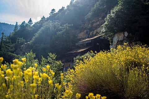 montanha, meu, árvore, pinho, flor, deserto, Rocha, parede, ferro, madeira, abandonado, velho, antigo, Antiguidade, aventura, amarelo, verde, cor, natureza, plantar, crescimento, arquitetura, estrutura construída, beleza na natureza, terra, scenics - natureza, ninguém, panorama, cena tranquila, tranquilidade, dia, planta com flores, exterior do edifício, ao ar livre, 4K, CC0, domínio público, royalty free