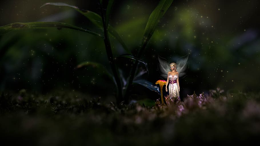 fantasia, tassa, foresta, muschio, silenzioso, fiaba, misterioso, Magia, ala, una persona, pianta, natura, messa a fuoco selettiva, lunghezza intera, vista frontale, all'aperto, fiore, pianta fiorita, notte, bambino, in piedi, erba, terra, detenzione, fragilità, acqua, colore verde, innocenza, viola, 4K