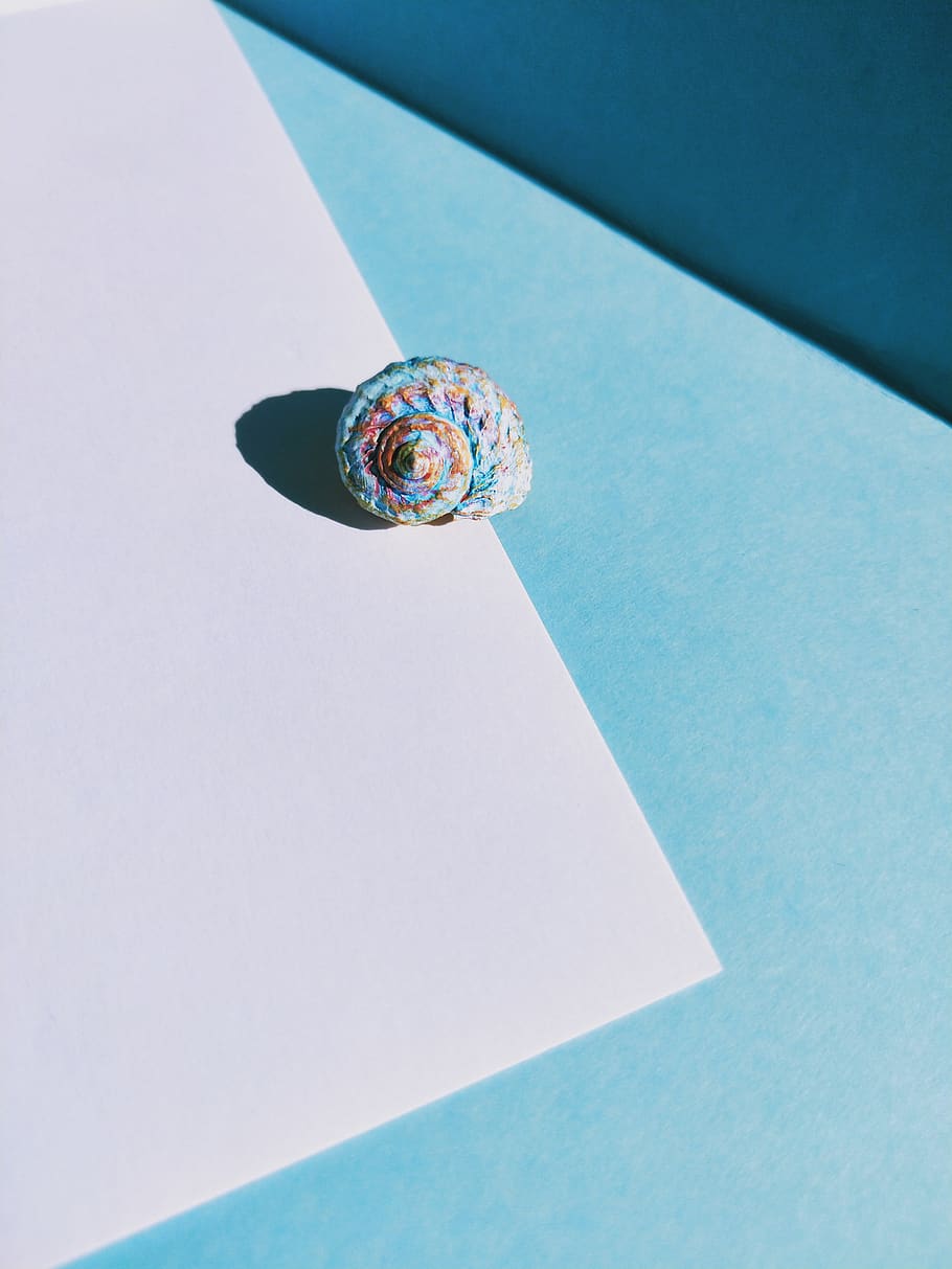 esfera, espai exterior, espai, astronomia, univers, arc de Sant Martí, shell, blau, paper, pintura, art, ombres, angles, resum, planeta, globus, turquesa, diamant, pedres precioses, joieria, vista d’angle baix, cap gent, primer pla, dia, sostre, naturalesa, còpia espai, a l'aire lliure, fauna animal, tecnologia, natura morta, cel, cel clar, closca d’animals, temes d'animals, animal, directament a sota, color turquesa, 4K