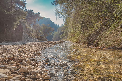 Flussbett, Sonnenstrahlen, Wasser, Strahlen, Sonne, Horizont, Sonnenlicht, Stimmung, Baum, Pflanze, Ruhe, Natur, Schönheit in der Natur, ruhige Szene, Tag, Szenen - Natur, keine Leute, Land, Rock, solide, fließendes Wasser, Wald, Nicht-städtische Szene, Himmel, Rock - Objekt, draußen, fließend, Oberflächenniveau, flach, 5K, CC0, gemeinfrei, lizenzfrei