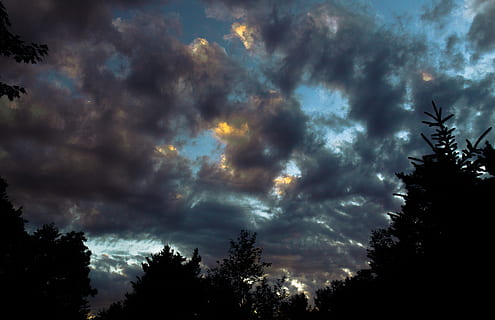 Kanada, dom wapienny, cloudscape, las, szary, Pomarańczowy, czerwony, żółty, niebo, drzewa, czarny, biały, kontrast, zachód słońca, niebieski, chmury, drzewo, chmura - niebo, roślina, sylwetka, piękno natury, spokój, niski kąt widzenia, żadnych ludzi, Natura, scenics - natura, spokojna scena, wzrost, na dworze, idylliczny, wysoka sekcja, scena pozamiejska, sosna, drzewo iglaste, wierzchołek drzewa, 5K, CC0, domena publiczna, darmowe zdjęcia
