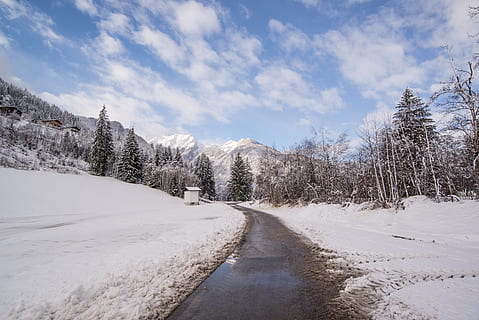 camino de pavimento, rodeado, nieve, Pinos, asfalto, Austria, nubes, frío, país, luz, ambiente, bosque, gusto, escarcha, escarchado, congelado, dirección, hielo, glacial, paisaje, montaña, naturaleza, camino, perspectiva, la carretera, escénico, temporada, cielo, Nevado, calle, arboles, clima, invierno, temperatura fría, nube - cielo, belleza en la naturaleza, escena tranquila, tranquilidad, árbol, el camino a seguir, paisajes - naturaleza, planta, día, nadie, escena no urbana, el color blanco, Montaña cubierta de nieve, 5K, CC0, dominio público, libre de derechos