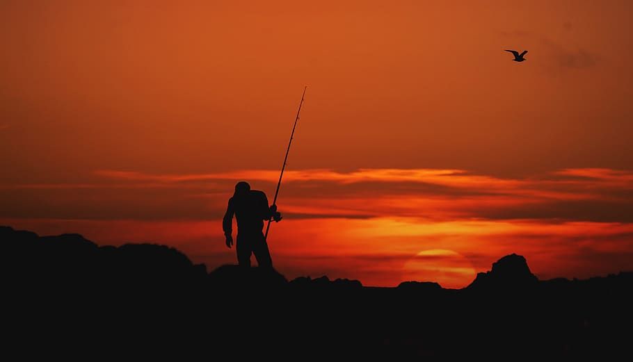 ของโมร็อกโก, Asilah, พระอาทิตย์ตกดิน, ท้องฟ้า, สีส้ม, ภาพเงา, เมฆ - ท้องฟ้า, Scenics - ธรรมชาติ, คนคนหนึ่ง, ธรรมชาติ, จุดยืน, ความงามในธรรมชาติ, ผู้ชาย, คนจริง, กิจกรรมยามว่าง, กิจกรรม, การบิน, ไลฟ์สไตล์, เต็มความยาว, อาชีพ, ฉากที่เงียบสงบ, 5K