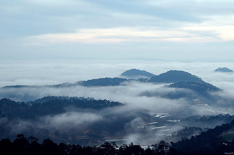 Chmura, dalat, Góra, niebo, chmura - niebo, scenics - natura, piękno natury, spokój, spokojna scena, drzewo, mgła, żadnych ludzi, roślina, Natura, scena pozamiejska, idylliczny, środowisko, krajobraz, na dworze, dzień, pasmo górskie, mglisty, 1080P, CC0, domena publiczna, darmowe zdjęcia