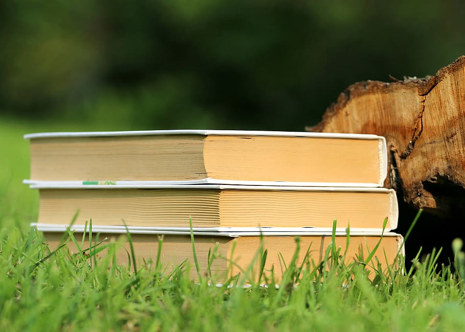selettivo, fotografia a fuoco, 3 libri, accatastato, libri, erba, conoscenza, impilati, libri di testo, pianta, colore verde, terra, libro, campo, natura, legno - materiale, pubblicazione, nessuno, giorno, messa a fuoco selettiva, crescita, albero, avvicinamento, all'aperto, pila, Marrone, formazione scolastica, contenitore, 2K