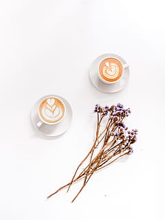 mug keramik putih, minum, makanan dan minuman, minuman, cappuccino, kopi, minuman panas, cangkir, kopi - minum, cangkir kopi, minuman berbusa, seni buih, latar belakang putih, masih hidup, bunga, makanan, latte, tanaman berbunga, tidak ada orang, menanam, balapecah, sarapan, 4K, CC0, domain publik, bebas royalti