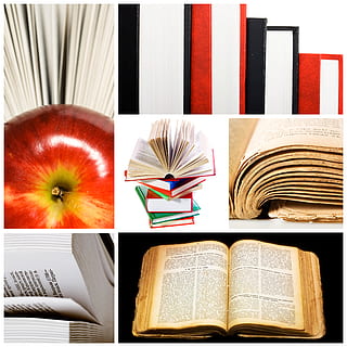 con2011, livre, connaissance, littéraire, Littérature, Nouveau, objet, cahier de texte, sagesse, publication, nature morte, à l'intérieur, choix, personne, variation, fermer, éducation, prise de vue en studio, multi couleur, composite numérique, collection, papier, grand groupe d'objets, arrangement, étagère, groupe d'objets, fond blanc, fond noir, 4K, CC0, domaine public, libre de droits