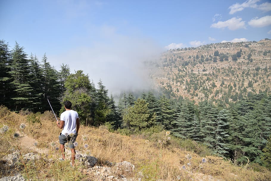 Liban, vedere din spate, oameni adevărați, plantă, frumusețe în natură, stiluri de viață, Activitatea de agrement, bărbați, natură, zi, scenice - natura, scenă non-urbană, copac, Munte, drumeții, lungime totală, liniște, mers, o scenă liniștită, haine casual, vacante, în aer liber, 4K