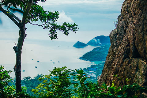 havfotografering, udendørs, klint, persille, plantageejer, plante, vase, flora, urter, krukke, keramik, potteplante, tambon ko tao, Thailand, navngivet vej, træ, taks, nåletræ, bonsai, ocean, vand, hav, scenics - natur, himmel, skønhed i naturen, ro, jord, natur, rolig scene, sky - himmel, strand, bjerg, ingen mennesker, rejsemål, dag, tropisk klima, ø, horisont over vand, Bugt, turkisfarvet, 5K, CC0, offentligt domæne, royaltyfrie