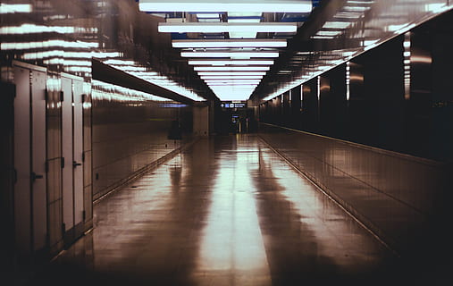 corridoio vuoto, pavimentazione, pavimento, corridoio, illuminazione, tunnel, luce del sole, corrimano, ringhiera, Minecraft, accessorio, Accessori, bicchieri, sala, in casa, luce, costruzione, ponte, passerella, ponte di corda, architettura, direzione, illuminato, la strada davanti, struttura costruita, prospettiva decrescente, portico, attrezzatura per l'illuminazione, riflessione, soffitto, mezzi di trasporto, vuoto, persone accessorie, piastrella, pavimento piastrellato, 4K, CC0, dominio pubblico, privo di copyright