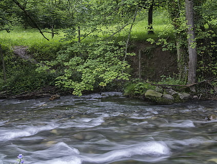 Spagna, ruayer, alberi, albero, pianta, acqua, foresta, acqua corrente, bellezza nella natura, natura, nessuno, terra, crescita, lungomare, fiume, giorno, scenics - natura, colore verde, movimento, fluente, la tranquillità, all'aperto, potere in natura, 4K, CC0, dominio pubblico, privo di copyright