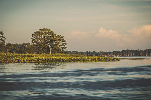 Bäume, Fluss, Wellen, lilly, Pads, Himmel, Wasser, Baum, Pflanze, Schönheit in der Natur, Ufergegend, Szenen - Natur, Ruhe, ruhige Szene, wolke - himmel, Natur, keine Leute, See, idyllisch, Nicht-städtische Szene, draußen, Tag, Reflexion, Blick ins Land, 2K, CC0, gemeinfrei, lizenzfrei