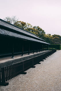 tokyo, Giappone, foresta, tempio, architettura, cielo, struttura costruita, nessuno, cielo sereno, giorno, pianta, albero, natura, all'aperto, esterno dell'edificio, tetto, ringhiera, copia spazio, costruzione, sentiero, la strada davanti, di fila, direzione, luce del sole, 5K, CC0, dominio pubblico, privo di copyright