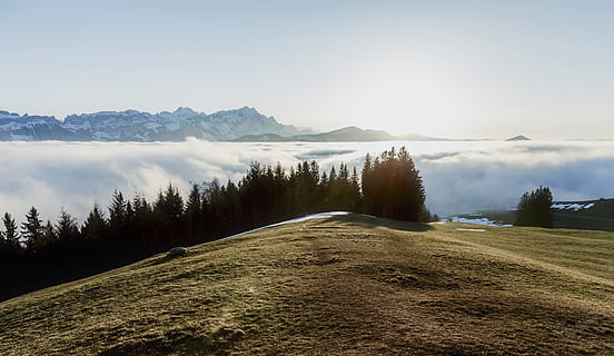 Wolkenmeer, Wolke, Wolken, kalt, Tageslicht, Gras, Landschaft, Berg, Natur, draußen, szenisch, Himmel, Schweiz, Bäume, Baum, Umgebung, Pflanze, Szenen - Natur, Ruhe, Schönheit in der Natur, ruhige Szene, Land, Wald, wolke - himmel, keine Leute, Nicht-städtische Szene, Tag, Wasser, Gebirge, Nadelbaum, Kiefer, Kiefernwald, 5K, CC0, gemeinfrei, lizenzfrei