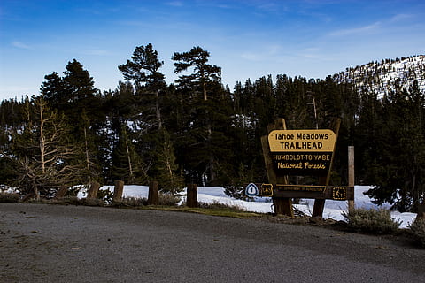 senyalització de la pista dels prats de tahoe, fred, alba, la llum del dia, medi ambient, bosc, zing, gelades, gelada, congelat, gel, paisatge, llum, naturalesa, carretera, escènic, signe, cel, neu, nevat, sortida del sol, posta de sol, arbre, arbres, temps, hivern, fusta, boscos, text, comunicació, guió occidental, planta, informació, terra, cap gent, signe d'informació, dia, creixement, script no occidental, guió, escena no urbana, bellesa a la natura, a l'aire lliure, missatge, 5K, CC0, domini públic, lliure de regalies