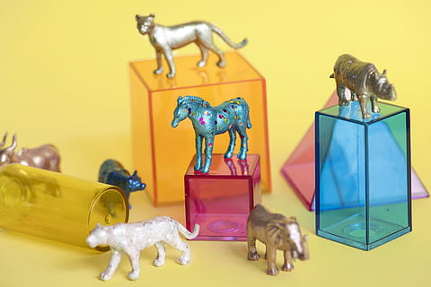 asortate de colectie de figurine de animale de culoare, animale, asortat, cutii, a închide, Colectie, colorat, colorate, containere, elefant, cifrele, figurine, cal, obiect, plastic, formă, solid, pătrat, jucării, triunghi, variat, fundal galben, reprezentare, figurină, artă și sculptură, în interior, jucărie, mamifer, creativitate, nici o persoana, studio shot, natură moartă, reprezentare umană, sculptură, animale domestice, intern, ambarcațiune, fundal colorat, statuie, 5K, CC0, domeniu public, fără drepturi de autor