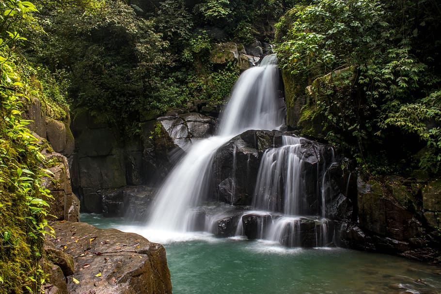 scenario di cascate, cascata, luce del giorno, ambiente, flusso, paesaggio, lunga esposizione, rocce muschiose, montagna, natura, rapide, rocce, panoramico, ruscello, alberi, acqua, cascate, bagnato, scenics - natura, pianta, bellezza nella natura, movimento, albero, foresta, roccia, acqua corrente, roccia - oggetto, terra, movimento sfocato, solido, crescita, formazione rocciosa, giorno, nessuno, potere in natura, all'aperto, fluente, foresta pluviale, acqua che cade, 5K