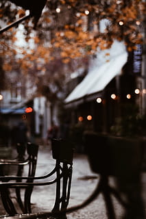schwarz, Metallsessel, braun, Baum, die Architektur, Stühle, dunkel, fallen, Herbstfarben, Landschaft, Licht, draußen, Restaurant, szenisch, Straße, Reise, beleuchtet, Fahrrad, Stadt, gebaute Struktur, Transport, Transportmittel, Fokus auf den Vordergrund, Gebäudehülle, Landfahrzeug, zufällige Menschen, selektiver Fokus, Natur, Herbst, Tag, Regen, 4K, CC0, gemeinfrei, lizenzfrei