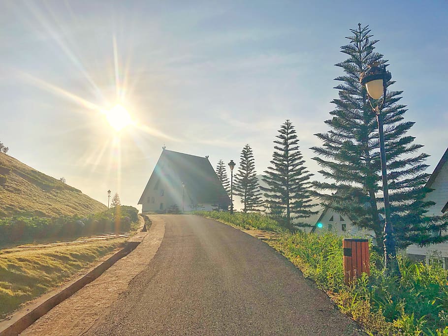 carretera buida, llum, flamarada, carretera, avet, abies, arbre, planta, vietnam, tenda, asfalt, thành phố đà lạt, carretera sense nom, a l'aire lliure, naturalesa, llum solar, grava, Carretera bruta, conífera, manera, direcció, el camí a seguir, cel, transport, sol, raig de sol, cap gent, dia, bellesa a la natura, perspectiva decreixent, flare de la lent, escena tranquil·la, tranquil·litat, escenics - natura, terra, brillant, 4K