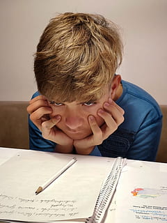 studerende, lære, uddannelse, undersøgelse, børn, bøger, person, litteratur, Læs, papir, human, aversion, frustration, barn, drenge, barndom, hanner, portræt, herrer, en person, hovedskud, indendørs, bord, rigtige mennesker, livsstil, forfra, læring, emotion, studere, skoleartikler, teenager, uskyld, præ-adolescent barn, 4K, CC0, offentligt domæne, royaltyfrie