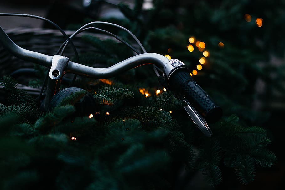 bicicleta, fosc, nit, bokeh, esport, pasatemps, exercici, planta, primer pla, arbre, il·luminat, cap gent, naturalesa, metall, centrar-se en primer pla, enfocament selectiu, a l'aire lliure, equips d’il·luminació, seguretat, color verd, creixement, celebració, decoració, 5K