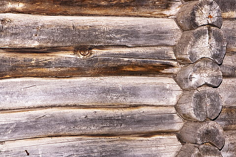backdrop, background, board, brown, color, desk, exterior, material, pattern, plank, rough, sample, structure, surface, texture, textured, wood, wooden, close-up, backgrounds, wood - material, no people, day, full frame, outdoors, nature, ancient, history, natural pattern, extreme close-up, animal themes, animal, weathered, wood grain, 4K, CC0, public domain, royalty free