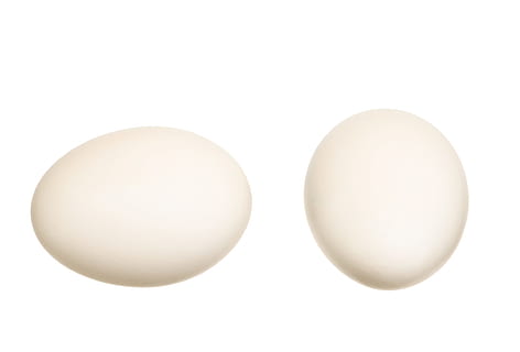 blanc, ou, ous, pollets, aïllat, closca d'ou, colesterol, menjar, el·lipse, esmorzar, celebració, fragilitat, primer pla, forma, objecte, restaurant, Pasqua, saludable, productes lactis, fràgil, ingredient, fresc, proteïna, crua, fons blanc, tallar, Color blanc, tir de l'estudi, cap gent, ous d’animals, menjar i beguda, brillant, sol objecte, a l'interior, dos objectes, riquesa, grup d'objectes, luxe, 2K, CC0, domini públic, lliure de regalies