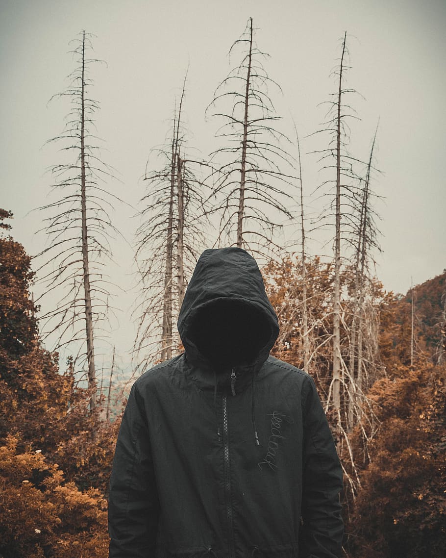 bosc, fosc, arbres, vell, humor, místic, pel · lícula d'horror, por, paisatge, màgia, estrany, abatut, misteriós, personatge, persona, un, fantasia, trencat, foscor, art, arbre, una persona, planta, persones reals, roba, campana, hivern, temperatura de fred, caputxa - roba, naturalesa, terra, roba calenta, cel, estils de vida, activitat d'oci, dia, cintura cap amunt, de peu, a l'aire lliure, 4K
