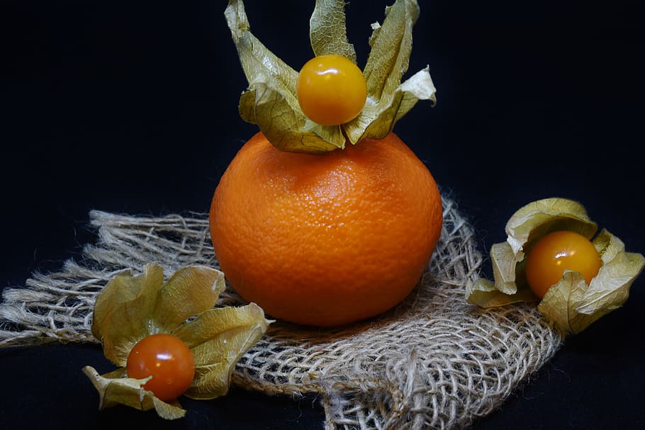 orange, physalis, frugt, bær, mad, sund og rask, vitaminer, dekoration, tæt på, stilleben, bærfrugt, cape stikkelsbær, velsmagende, lækker, lampionblume, eksotisk, spise, naturligt produkt, sød, baggrund, natur, tropisk, have, frisk, farve, vegetarisk, veganer, sund kost, mad og drikke, sort baggrund, studio skud, orange farve, velvære, indendørs, friskhed, grøntsag, appelsinfrugt, ingen mennesker, citrus frugt, tomat, tropisk frugt, gruppe af objekter, 5K