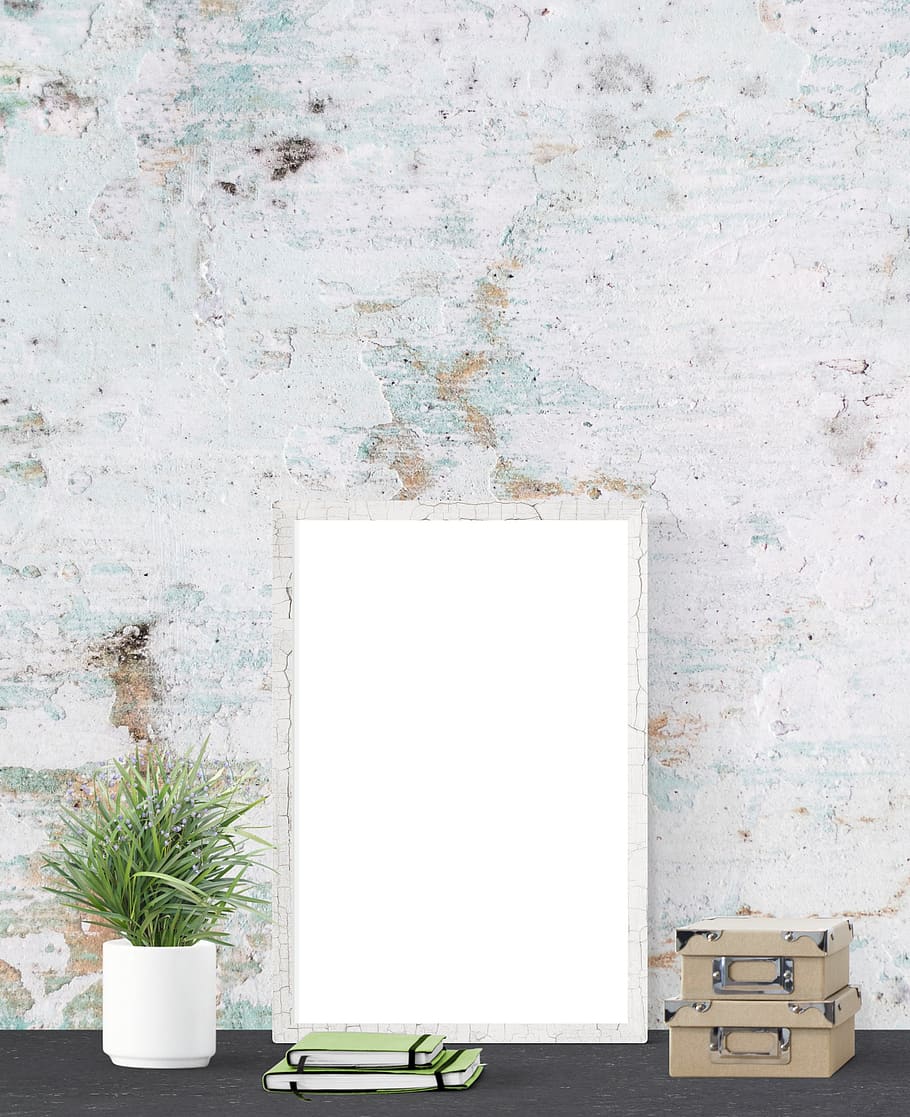 manifesto, modello, parete, interno, realistico, in casa, finto, decorazione, tela, ritratto, telaio, galleria, tavolo, caratteristica della parete, vuoto, copia spazio, nessuno, Colore bianco, pianta, cornice, architettura, struttura costruita, dipingere, giorno, pianta in vaso, strutturato, natura, crescita, 2K