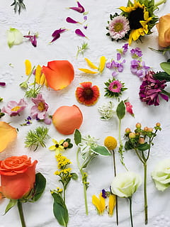 flors de tipus assortit, flor, planta, pètal, arranjament floral, rosa, Estats Units, 56 gaddis dr, fort Thomas, ram de flors, a l'aire lliure, De dalt a baix, art, patró, gràfics, disseny floral, ikebana, gerro, jar, ceràmica, planta amb flors, frescor, vulnerabilitat, fragilitat, bellesa a la natura, groc, cap gent, variació, cap de flor, multicolor, elecció, vista d’angle alt, inflorescència, naturalesa, primer pla, menjar, taula, 4K, CC0, domini públic, lliure de regalies