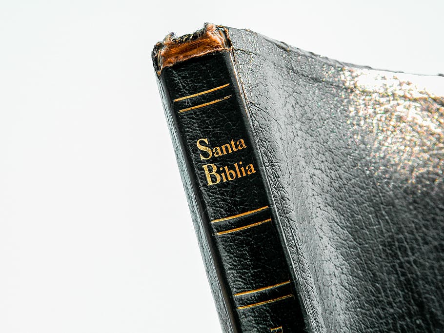 kniha santa biblia, text, sdělení, západní skript, detail, kov, velké písmeno, nikdo, studio shot, kopie prostor, starý, jeden objekt, uvnitř, bílé pozadí, podepsat, architektura, Černá barva, rezavý, informace, den, Příroda, 4K