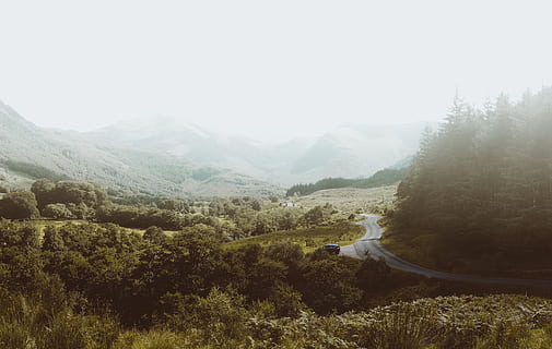 montagna, montanaro, nube, cielo, paesaggio, natura, valle, erba, alberi, pianta, all'aperto, strada, albero, bellezza nella natura, la tranquillità, scenics - natura, scena tranquilla, giorno, scena non urbana, temi animali, ambiente, nebbia, nessuno, un animale, terra, animale, catena montuosa, 4K, CC0, dominio pubblico, privo di copyright