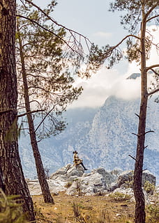 sitzende Person, Rock, Sitzung, Baum, Wolke, allein, natürlich, Aussicht, Truthahn, Wald, Decke, Himmel, kalt, Winter, Mann, draussen, Berg, Camping, Landschaft, Antalya, Natur, draußen, Tier, Tierwelt, Rock - Objekt, Wandern, szenen, Männer, Abenteuer, Menschen, Sommer-, Tiere in freier Wildbahn, Reise, Sport, Säugetier, Wildnisgebiet, extremes Gelände, Schönheit in der Natur, 5K, CC0, gemeinfrei, lizenzfrei