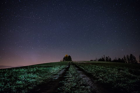 camp d’herba verda, naturalesa, a l'aire lliure, espai, nit, univers, espai exterior, astronomia, cel estrellat, cel, Via Làctea, camp, estrelles fugaces, cel nocturn, bellesa, galàxia, estrelles, nebulosa, rural, paisatge, estrella - espai, escenics - natura, bellesa a la natura, tranquil·litat, escena tranquil·la, direcció, estrella, camp estel·lar, el camí a seguir, planta, cap gent, infinit, medi ambient, espai i astronomia, 5K, CC0, domini públic, lliure de regalies