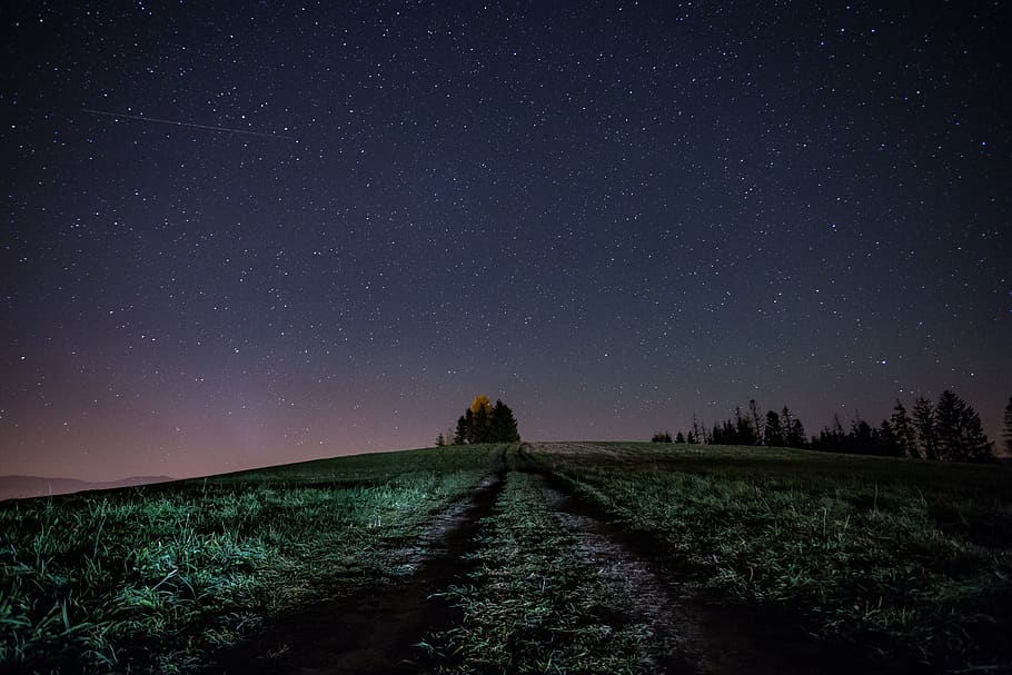 camp d’herba verda, naturalesa, a l'aire lliure, espai, nit, univers, espai exterior, astronomia, cel estrellat, cel, Via Làctea, camp, estrelles fugaces, cel nocturn, bellesa, galàxia, estrelles, nebulosa, rural, paisatge, estrella - espai, escenics - natura, bellesa a la natura, tranquil·litat, escena tranquil·la, direcció, estrella, camp estel·lar, el camí a seguir, planta, cap gent, infinit, medi ambient, espai i astronomia, 5K