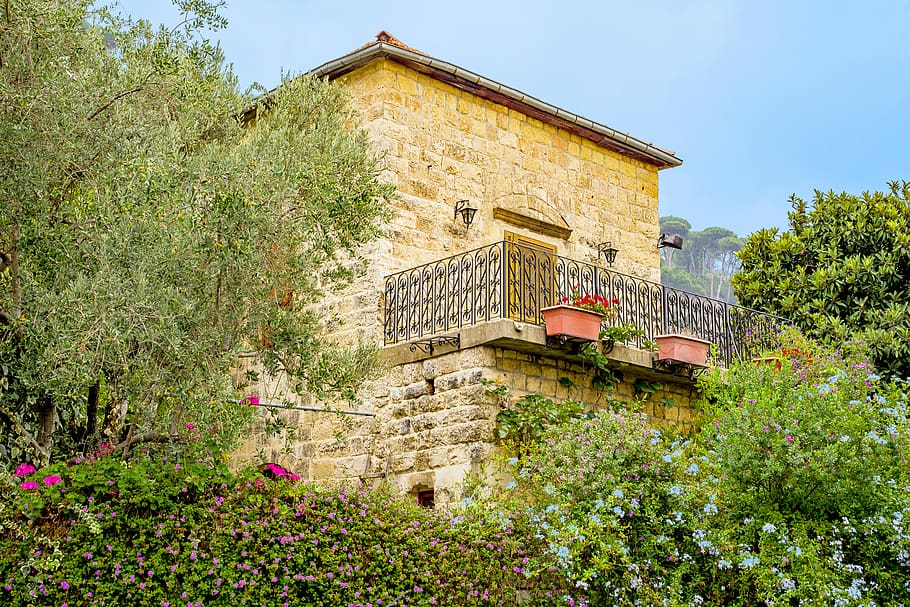 casa, pedra, típic, antic, rural, jardí, arbre, shouf, chouf, Líban, oriental, planta, estructura construïda, exterior de l'edifici, arquitectura, edifici, creixement, naturalesa, vista d’angle baix, dia, cap gent, cel, a l'aire lliure, flor, planta amb flors, barri residencial, llum solar, color verd, el passat, 5K