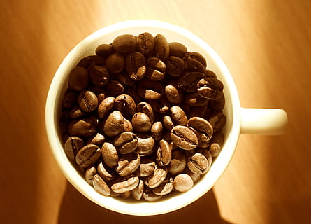 aromatic, beans, beverage, black, blank, brown, cafe, closeup, coffee, cup, dark, drink, food, glass, grain, heap, hot, mug, pile, steam, sunlight, table, warm, , food and drink, coffee - drink, freshness, bowl, indoors, still life, coffee cup, healthy eating, large group of objects, roasted coffee bean, wellbeing, no people, refreshment, caffeine, breakfast, crockery, 2K, CC0, public domain, royalty free