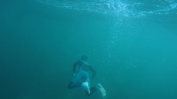 person, diving, body, water, action, adventure, blue, deep, diver, fun, ocean, reef, scuba, sea, seascape, snorkeling, sports, swimming, turquoise, underwater, watersport, undersea, nature, scuba diving, real people, one person, leisure activity, sport, lifestyles, aquatic sport, day, exploration, men, outdoors, underwater diving, marine, 2K, CC0, public domain, royalty free