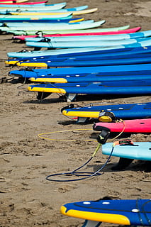 farver, linje, kø, række, brædder, surfboards, surfing, udstyr, gear, strand, strand liv, sport, blå, gul, rød, dag, ingen mennesker, jord, natur, vand, sand, udendørs, i en række, transportmidler, transportform, legetøj, stor gruppe af objekter, land køretøj, valg, plast, smuds, hjul, 4K, CC0, offentligt domæne, royaltyfrie